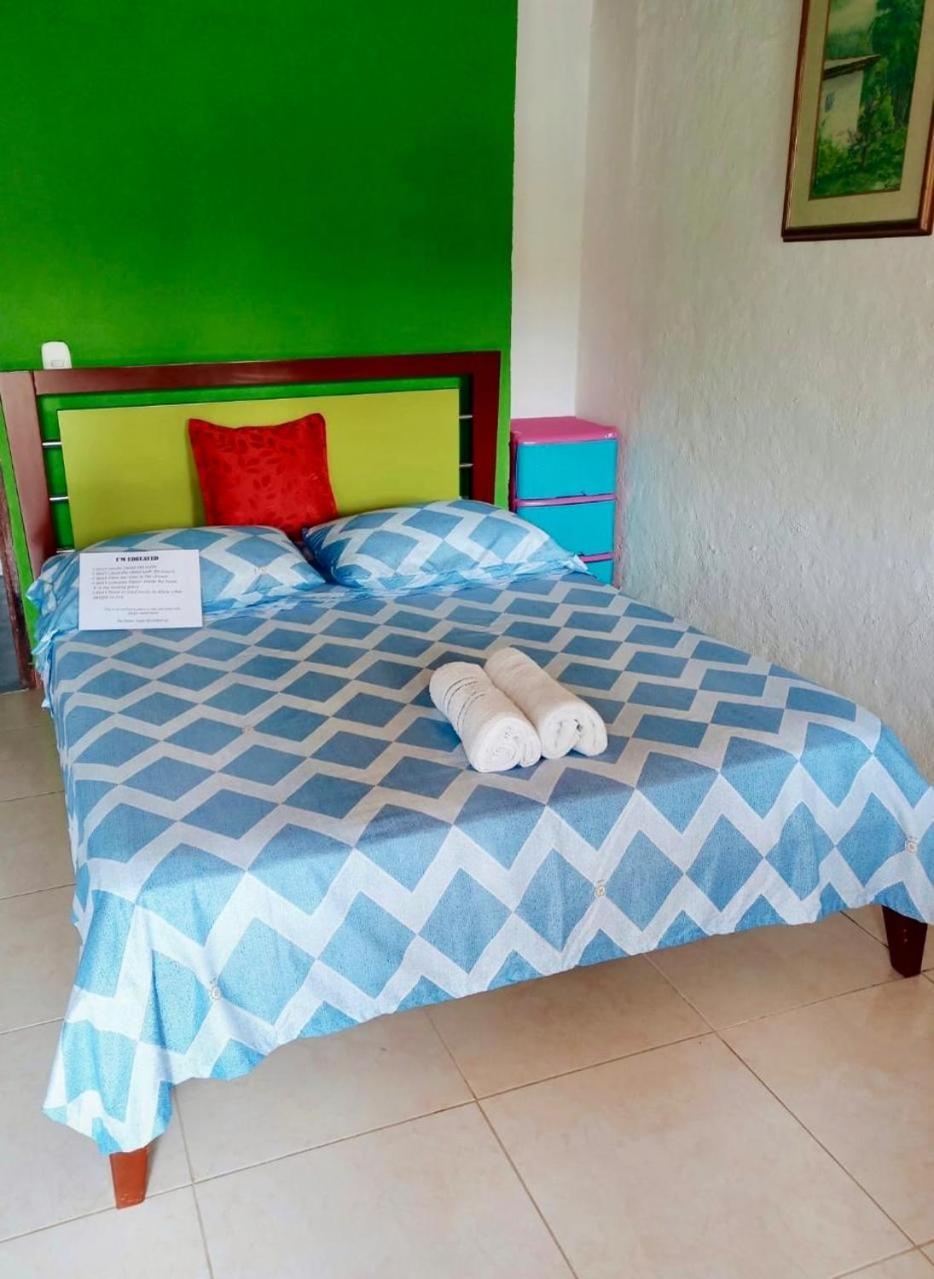 Hostal Bamboo Salento Dış mekan fotoğraf